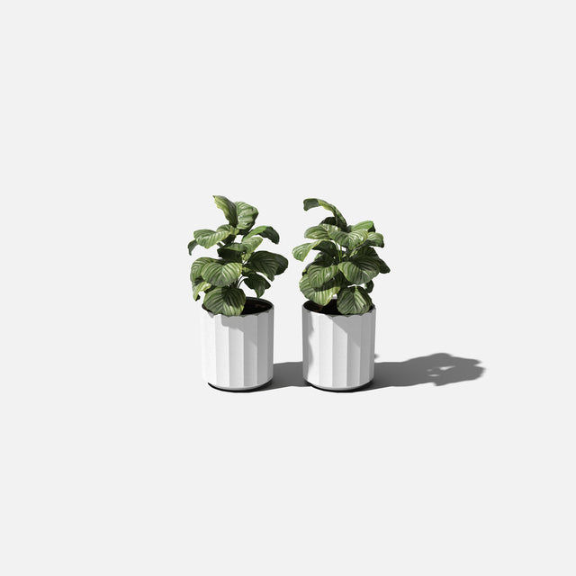 column planter