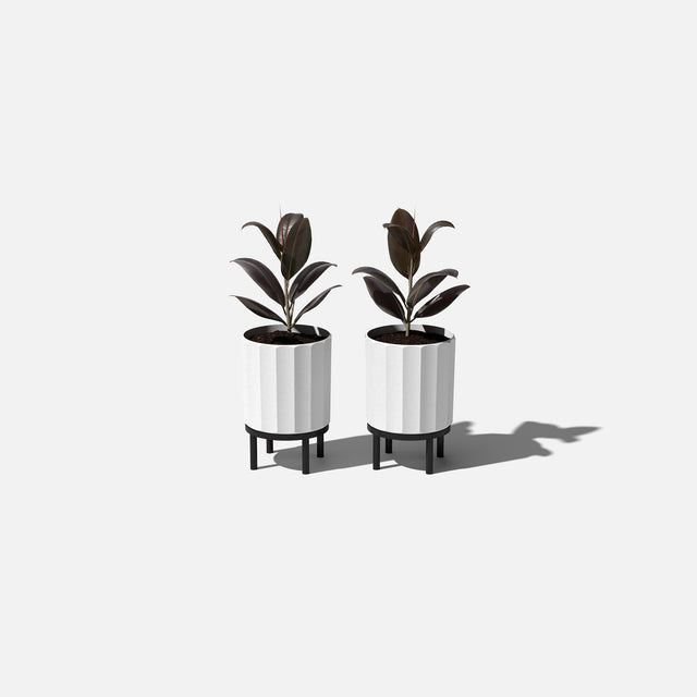 column raised planter