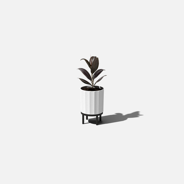 column raised planter
