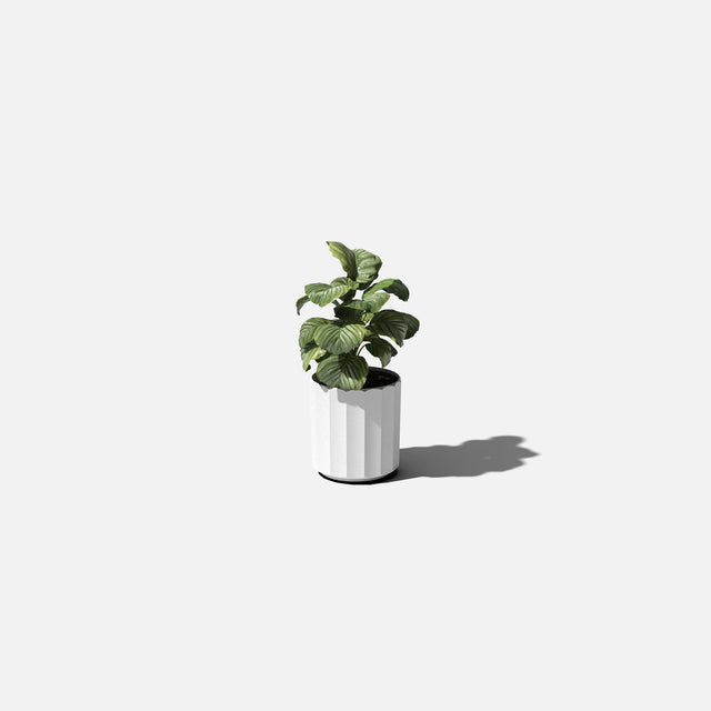column planter