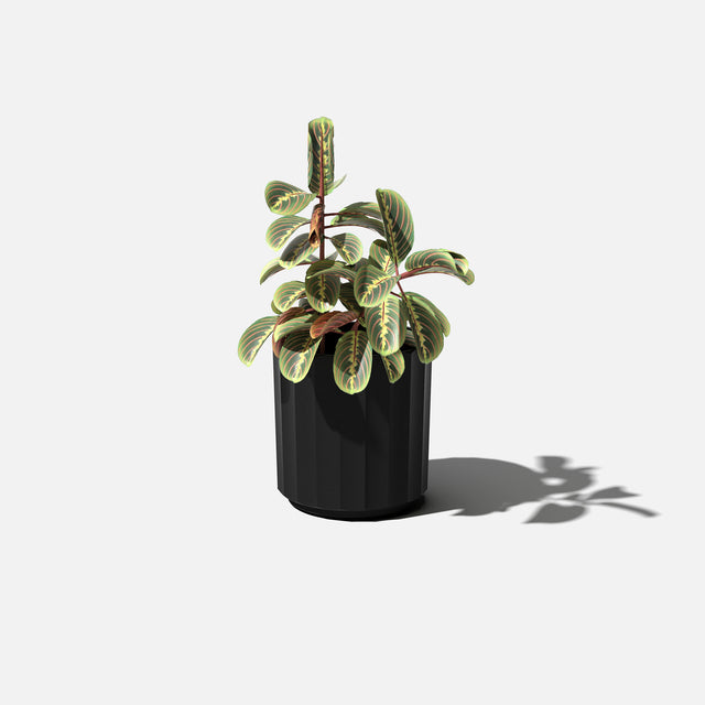 column planter