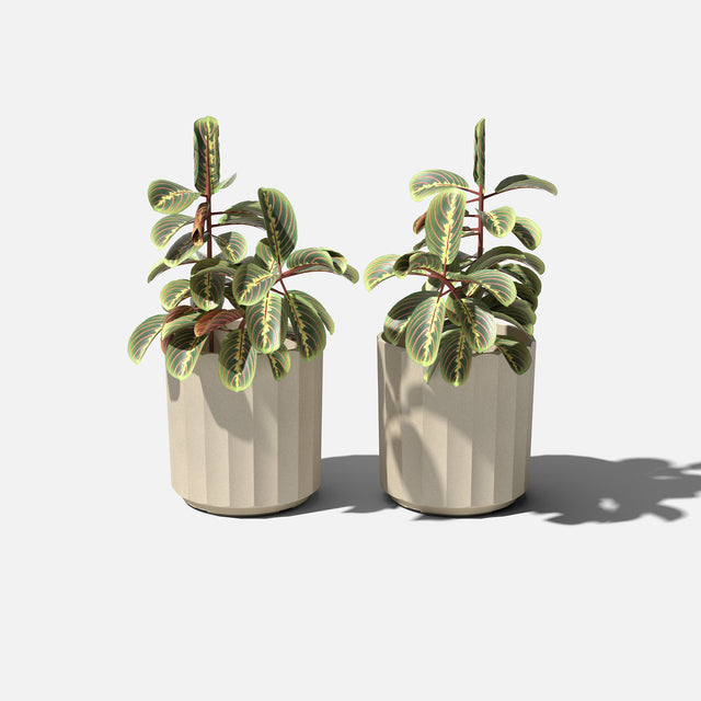 column planter