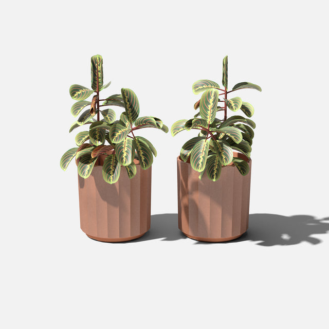 column planter