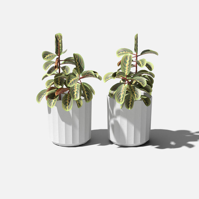 column planter