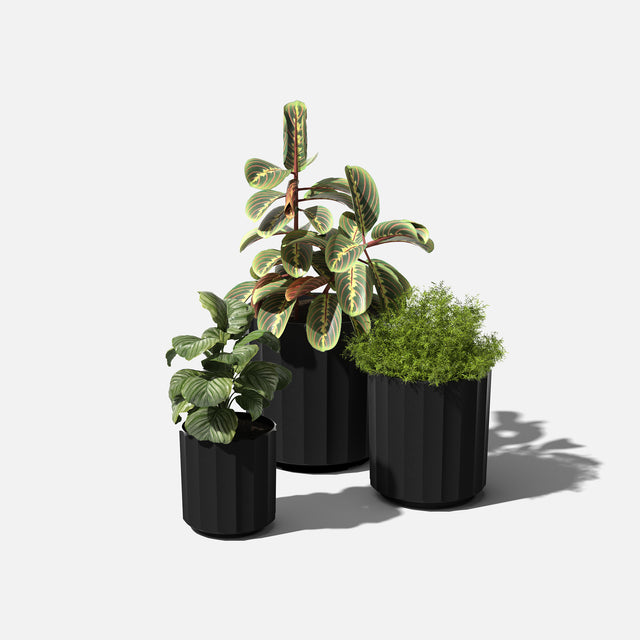 column planter trio