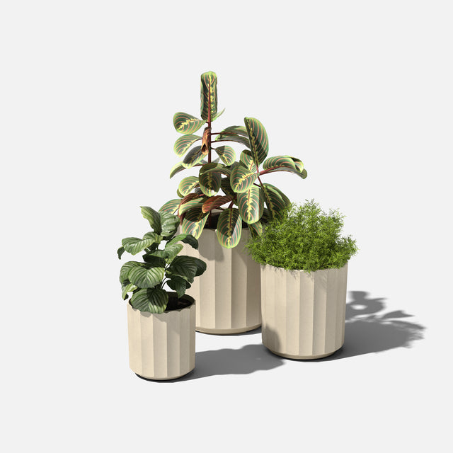 column planter trio