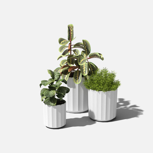 column planter trio