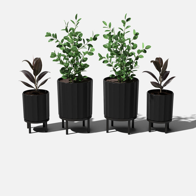 column raised duo