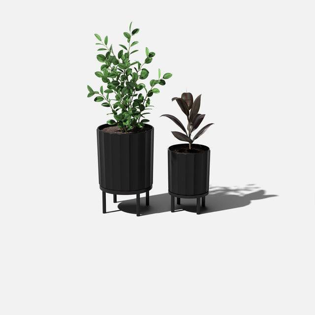 column raised duo