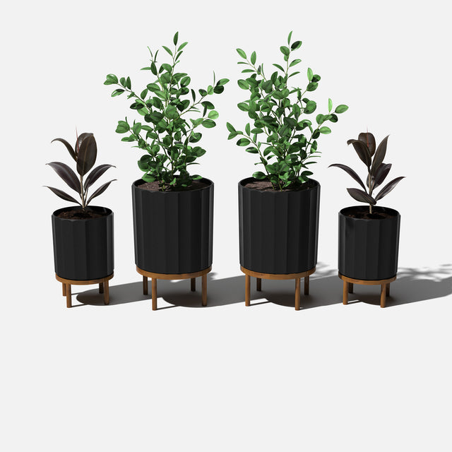 column raised duo