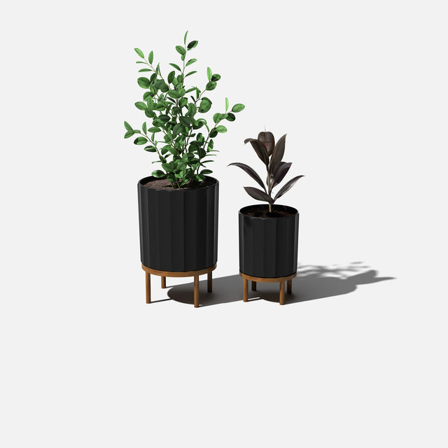 column raised duo