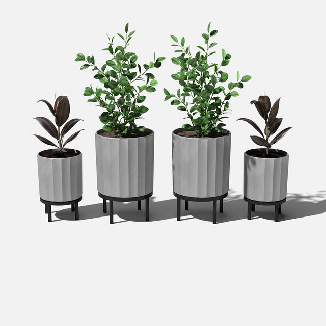 column raised duo