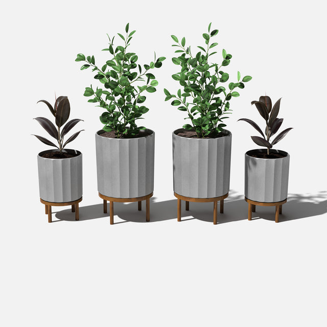 column raised duo