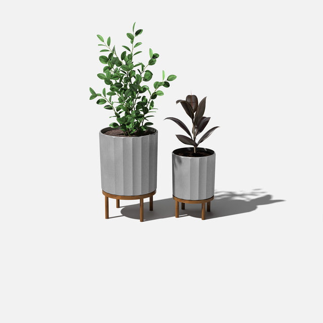 column raised duo