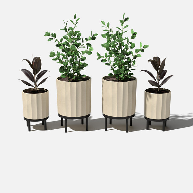 column raised duo