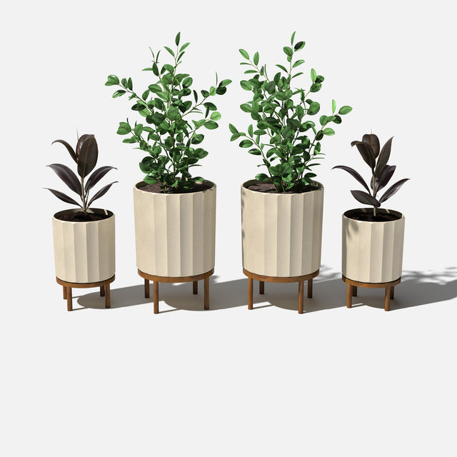 column raised duo
