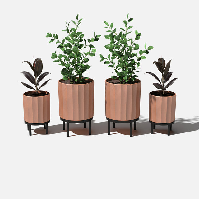 column raised duo