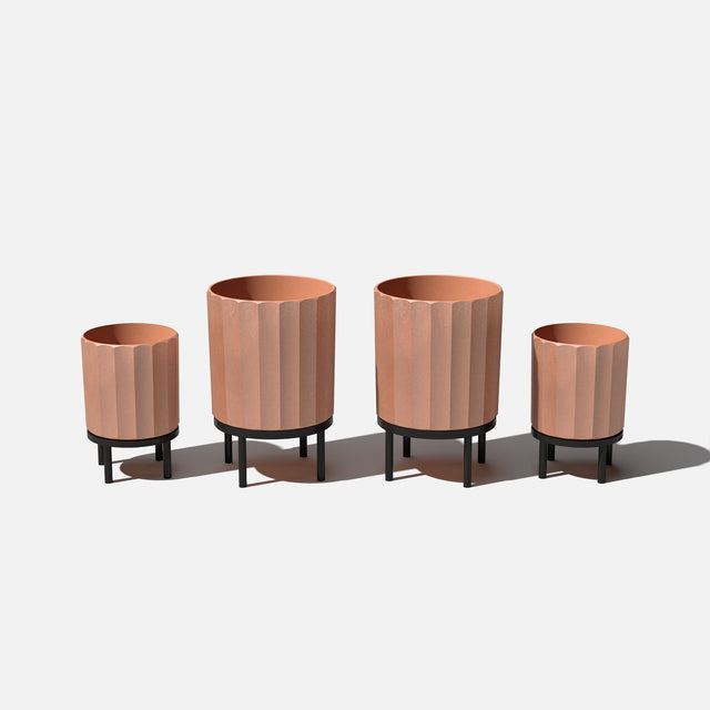 column raised duo