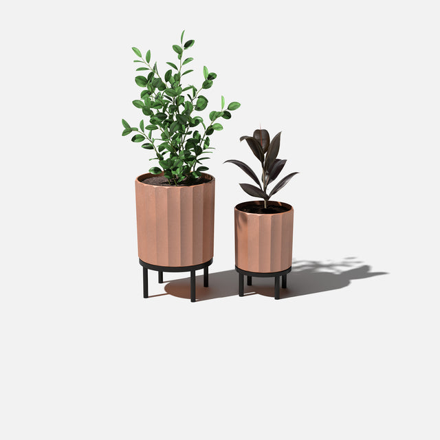 column raised duo