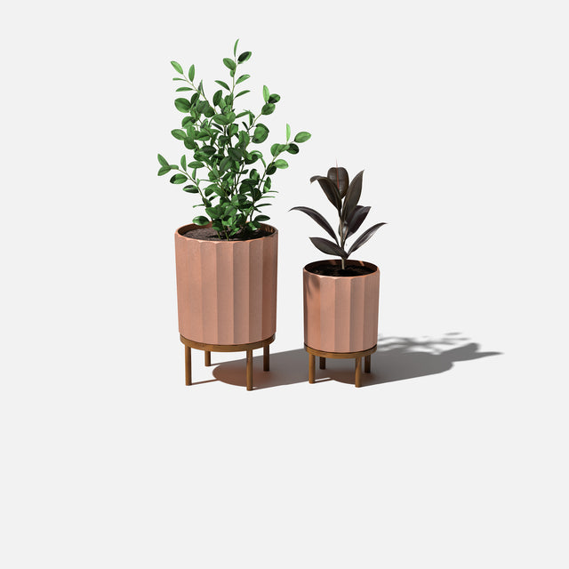 column raised duo
