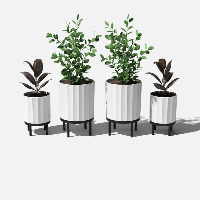 column raised duo