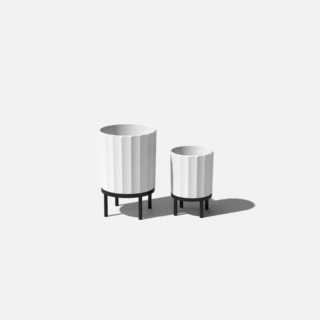 column raised duo