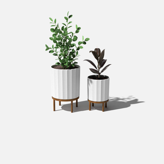 column raised duo
