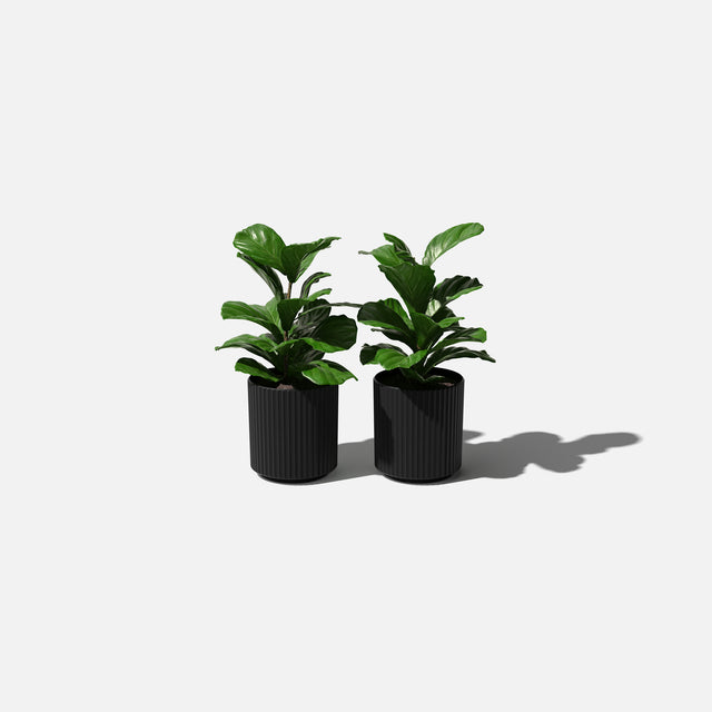 demi planter