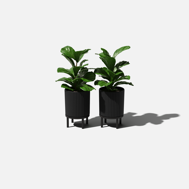 demi raised planter