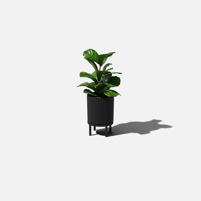 demi raised planter