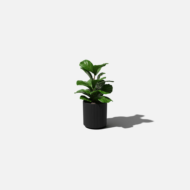 demi planter