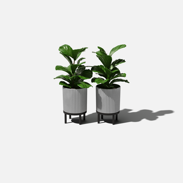 demi raised planter