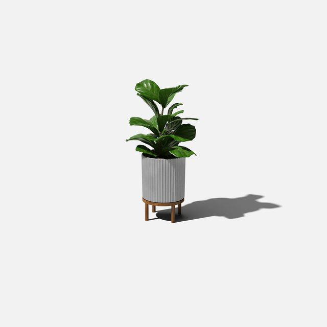 demi raised planter