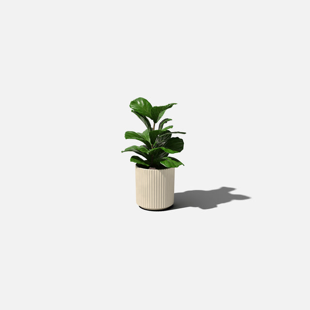 demi planter