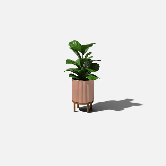 demi raised planter