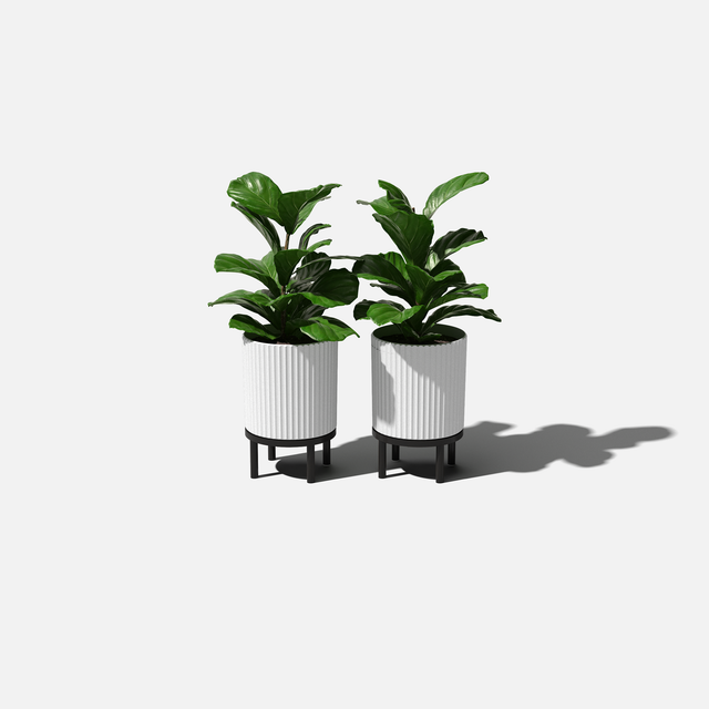 demi raised planter