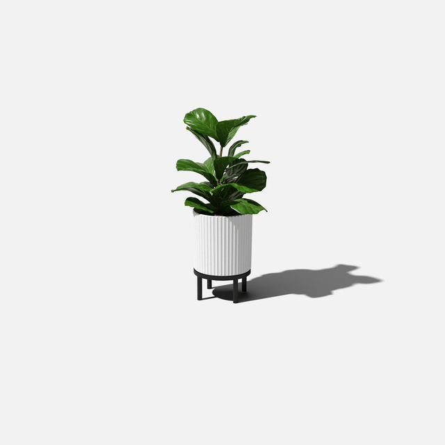 demi raised planter