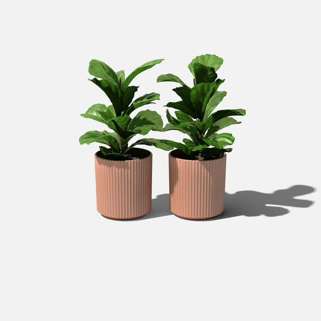 demi planter