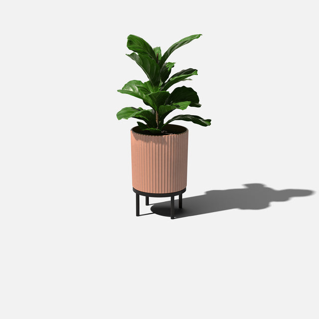 demi raised planter