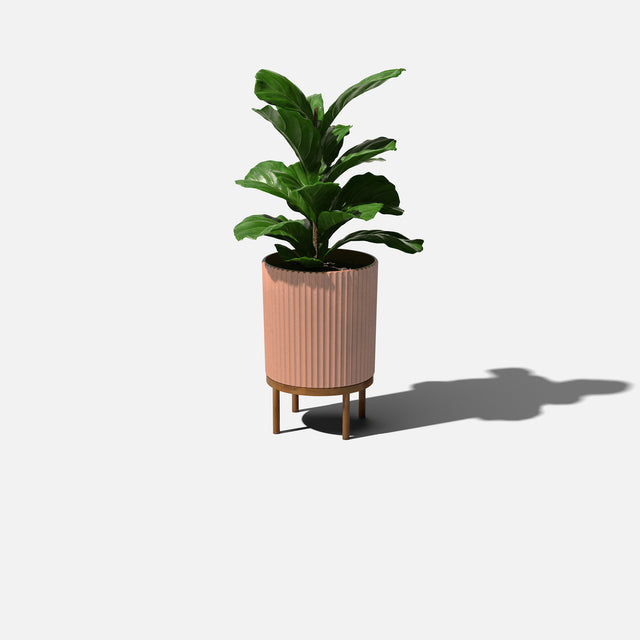 demi raised planter