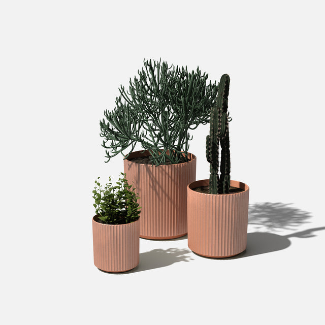 demi planter trio