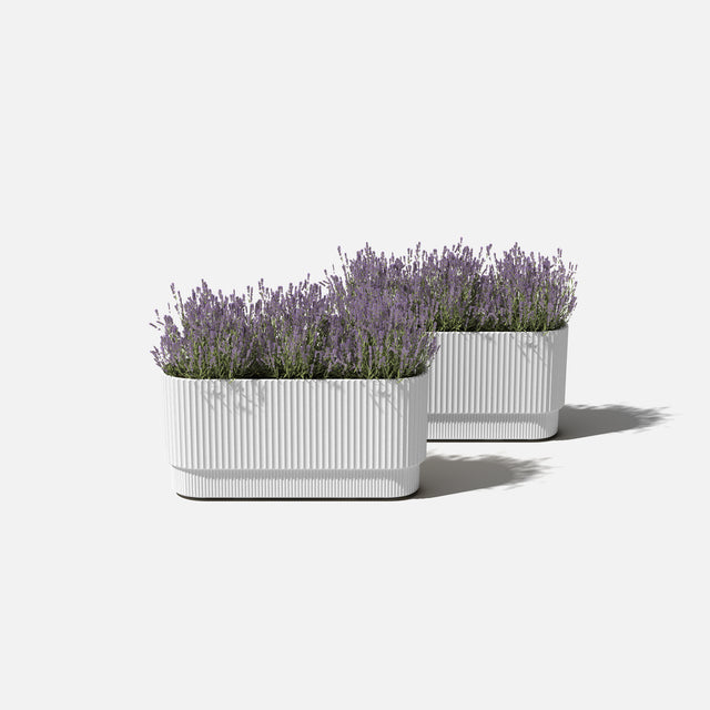 demi long planter