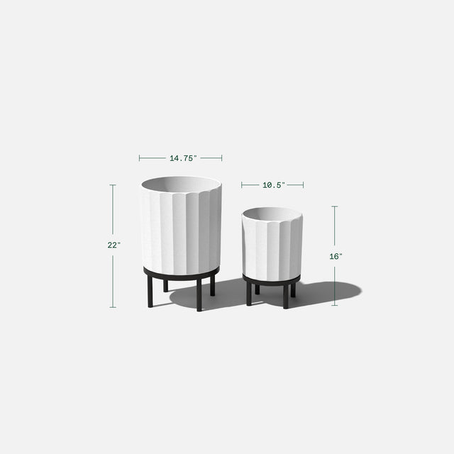 column raised duo