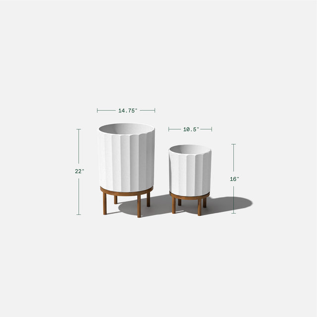 column raised duo
