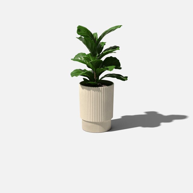 demi elevated planter