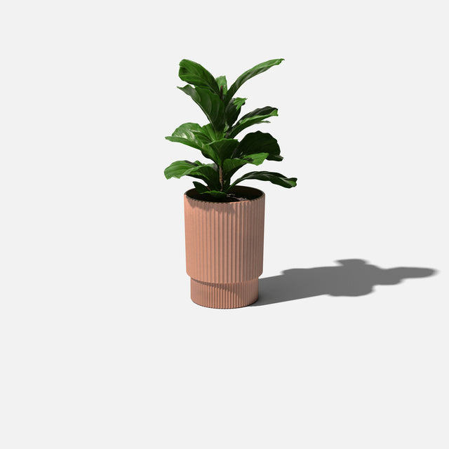 demi elevated planter