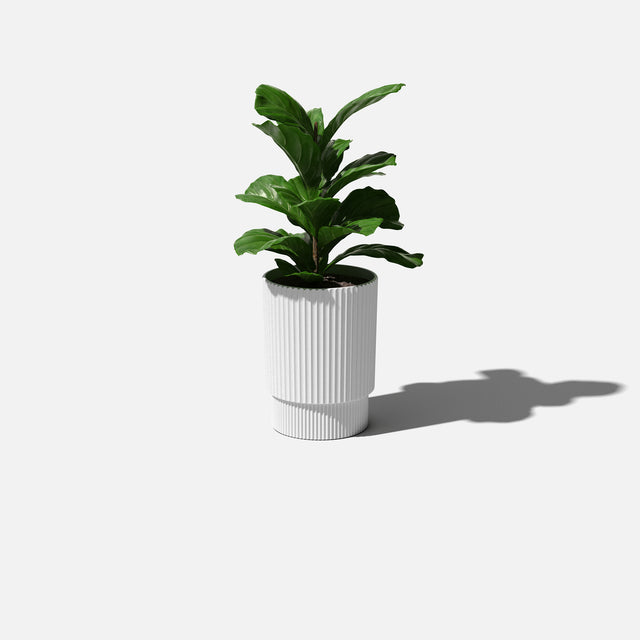 demi elevated planter