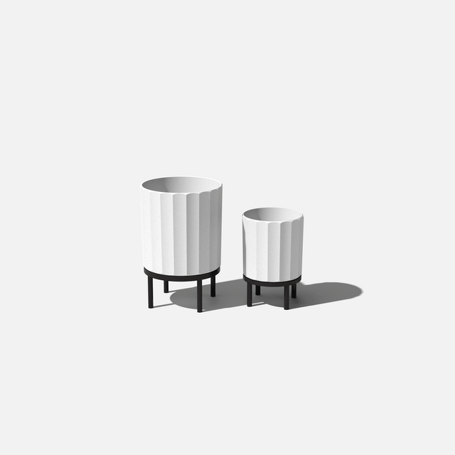 column raised duo