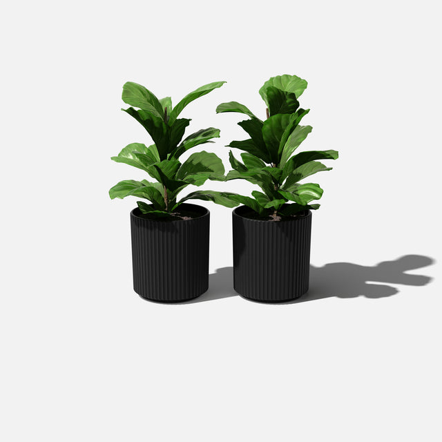 demi planter