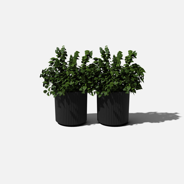 demi planter